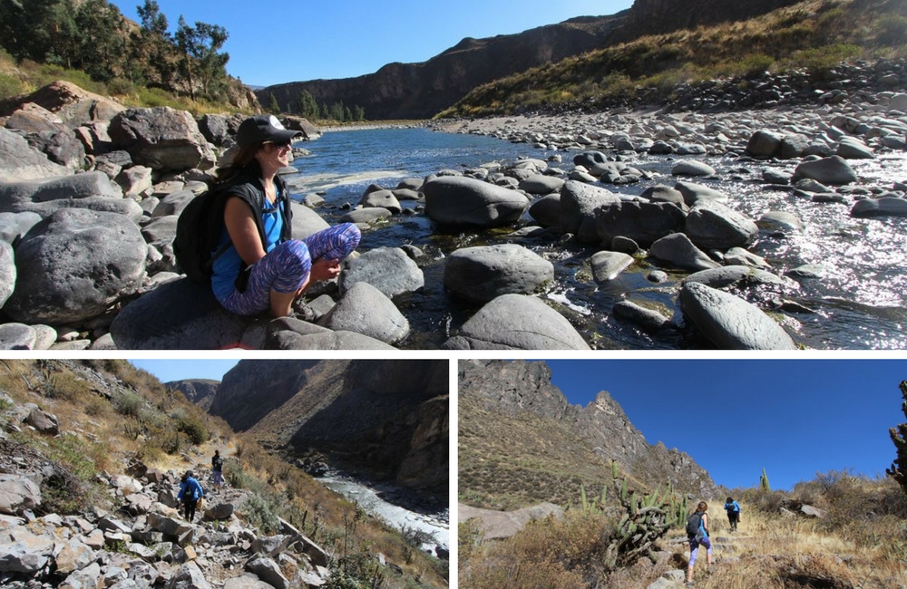 Canocota Canyon Colca Peru Hike, Aracari Travel