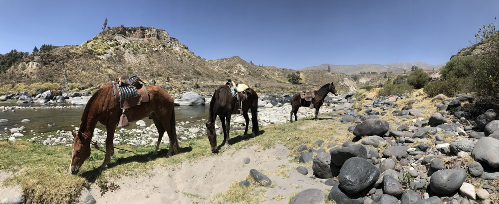 Achoma Horseback Ride in Colca, Aracari Travel