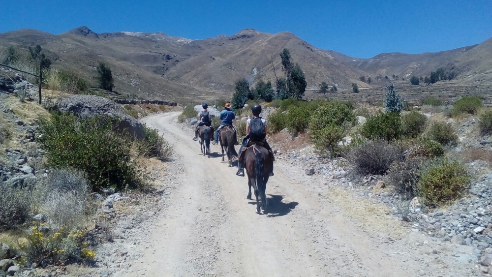 Achoma Horseback Ride in Colca, Aracari Travel