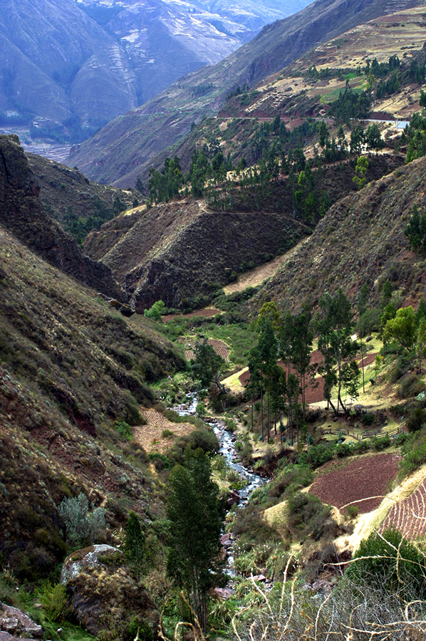 stephanie borios top peru specialists