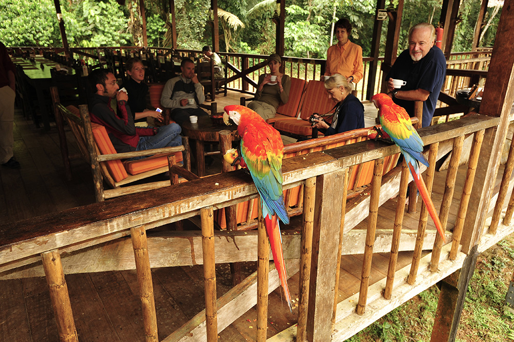 Tambopata research center