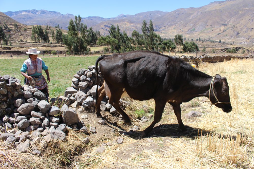 community based tourism colca 6