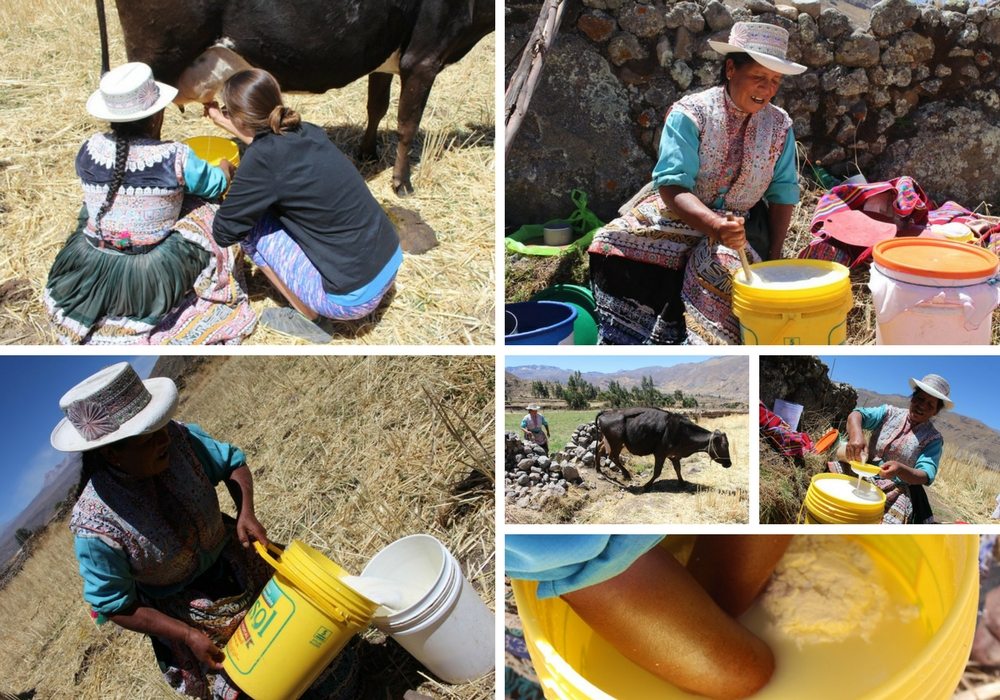 Community Based Tourism Colca, Aracari Travel