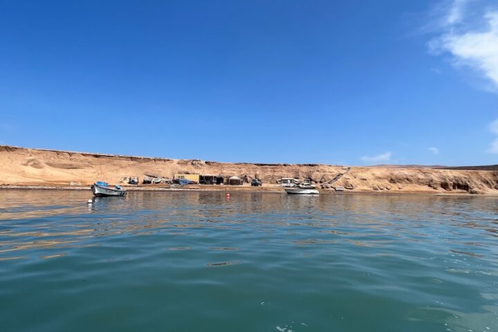 5 Highlights of Paracas National Reserve, Aracari Travel