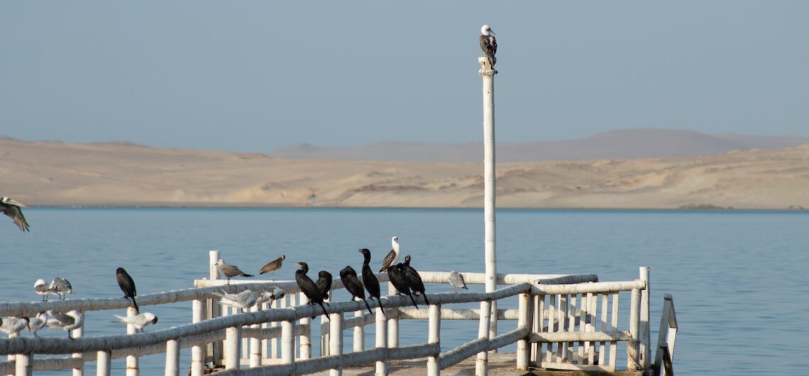 Paracas National Park