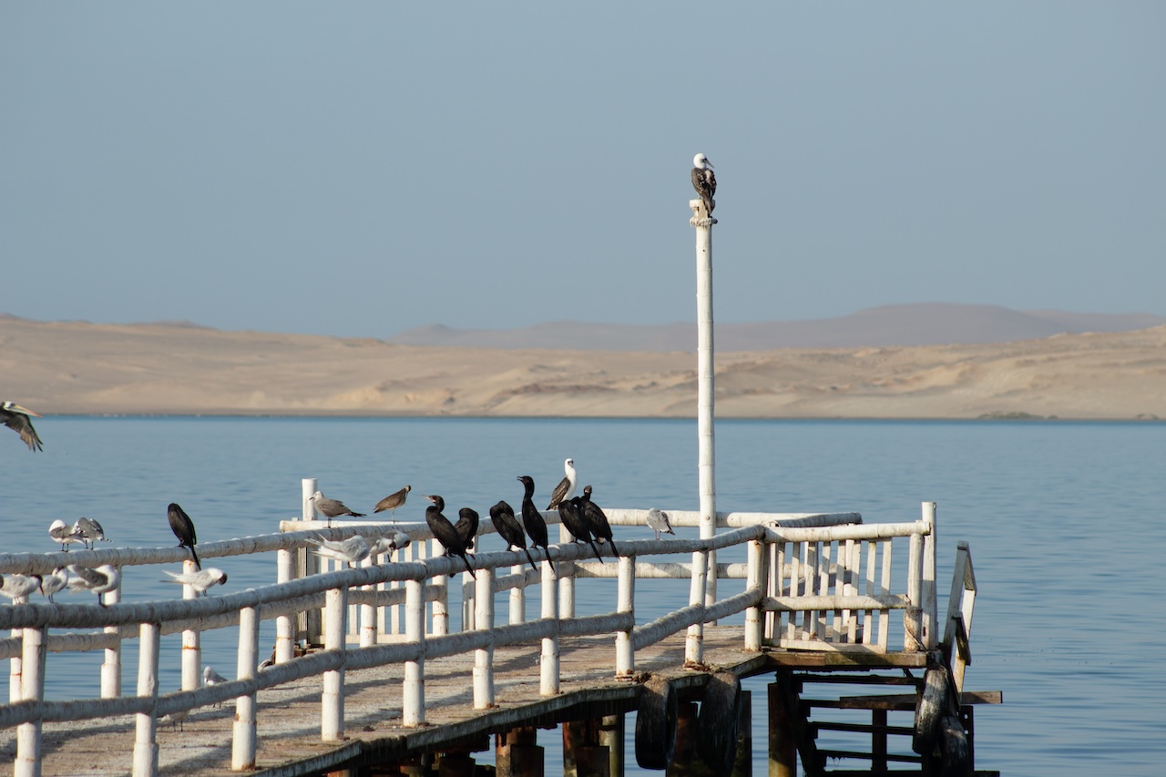 Paracas National Park
