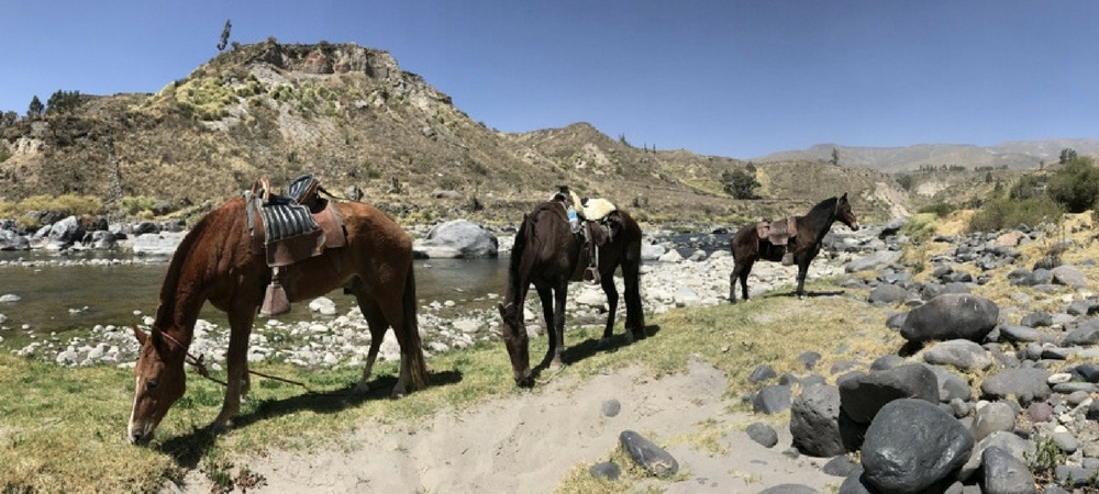 The Best Horse Riding in Peru, Aracari Travel