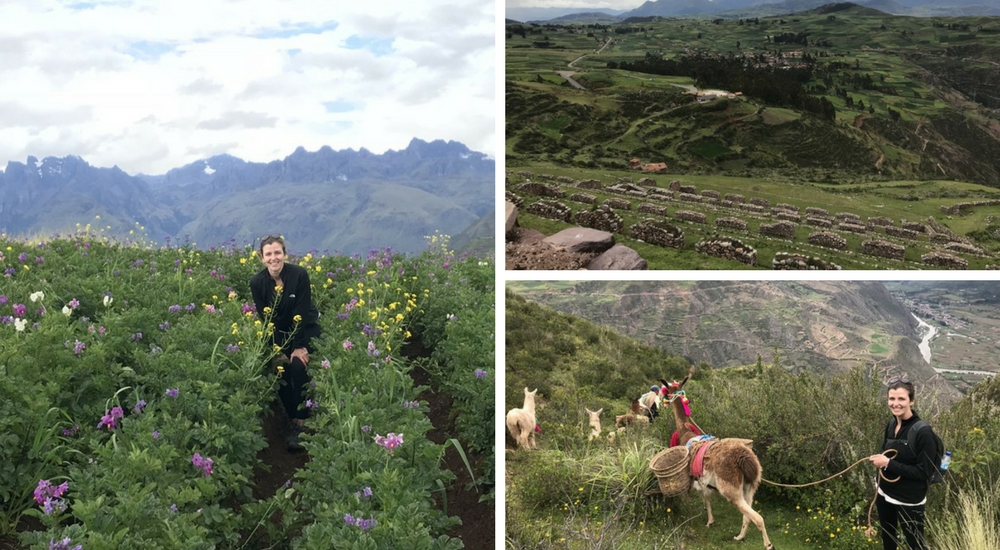 Wonders of Chinchero Trek, Aracari Travel