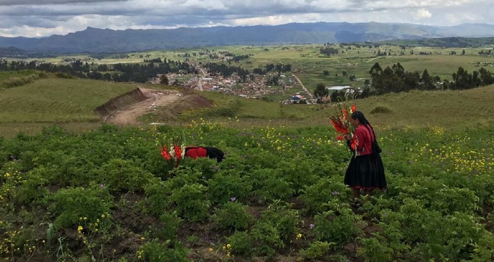 Wonders of Chinchero Trek, Aracari Travel