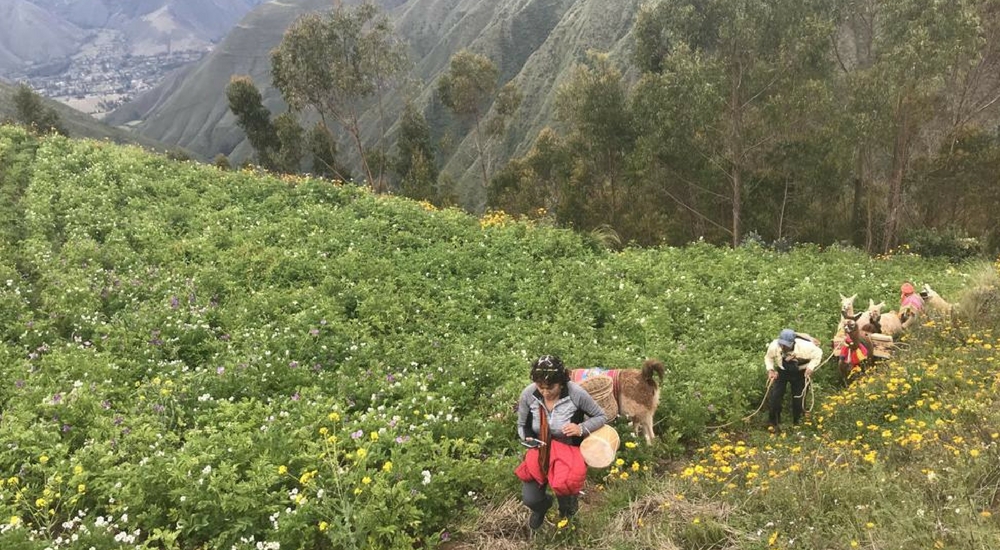 Wonders of Chinchero Trek, Aracari Travel