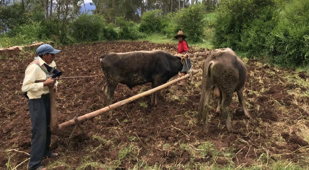 A Short Sacred Valley Hike Off the Beaten Path, Aracari Travel