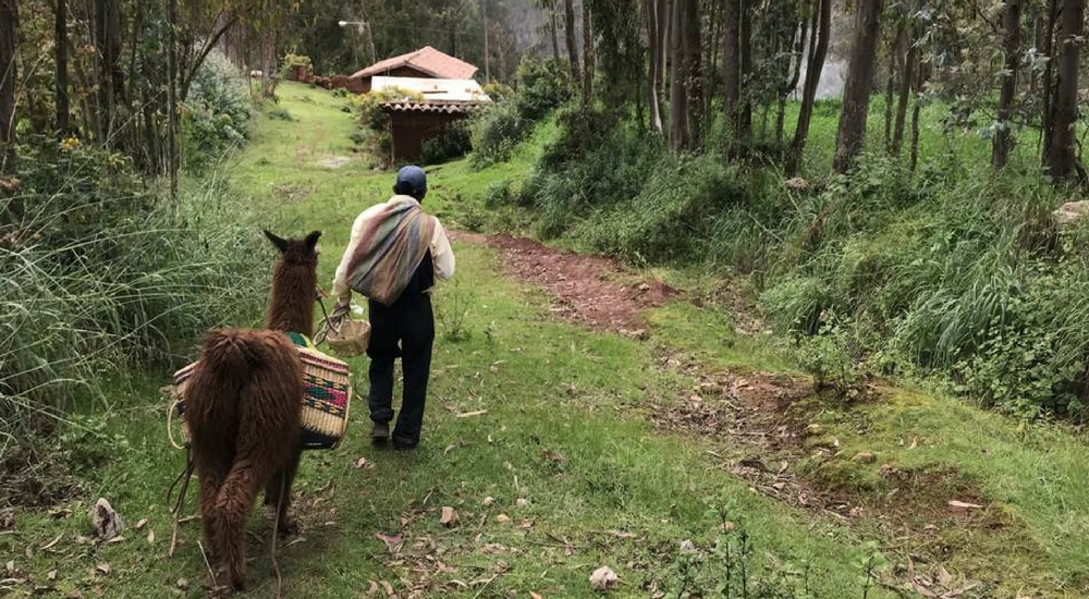 A Short Sacred Valley Hike Off the Beaten Path, Aracari Travel