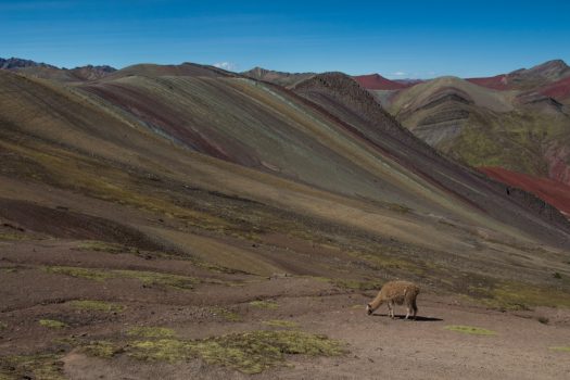 Palcoyo_cusco