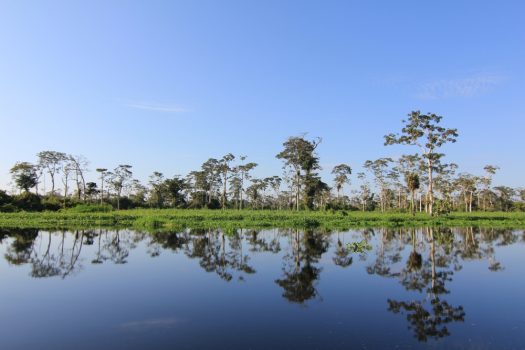 The Founder´s Trip: A Trip of a Lifetime to Northern Peru, Aracari Travel