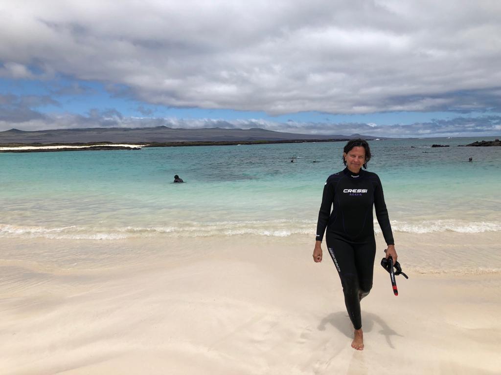aracari galapagos islands