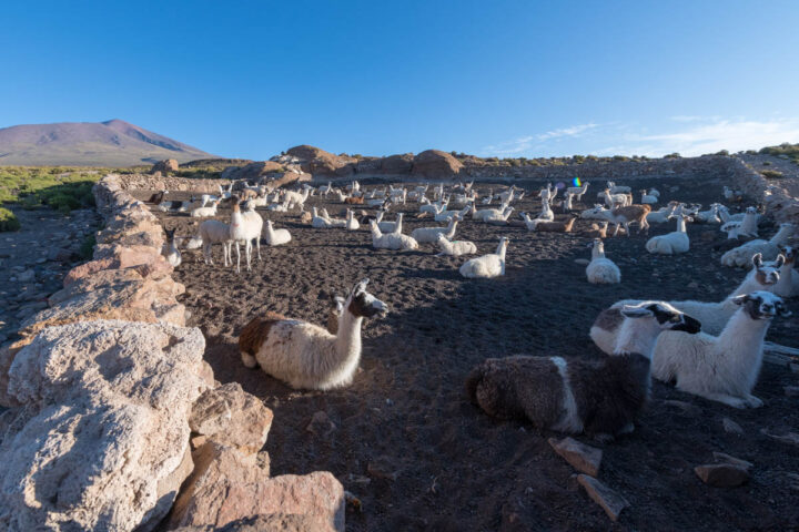 Your Guide To Navigating The Salar de Uyuni, Aracari Travel