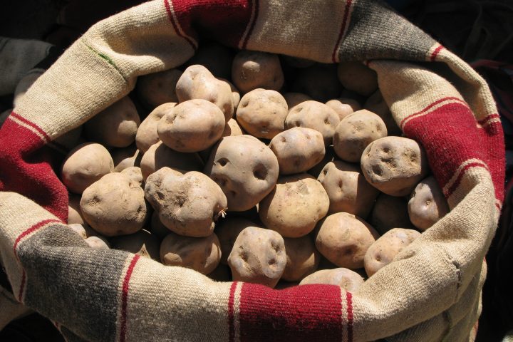 A Guide To Peruvian Potatoes, Aracari Travel