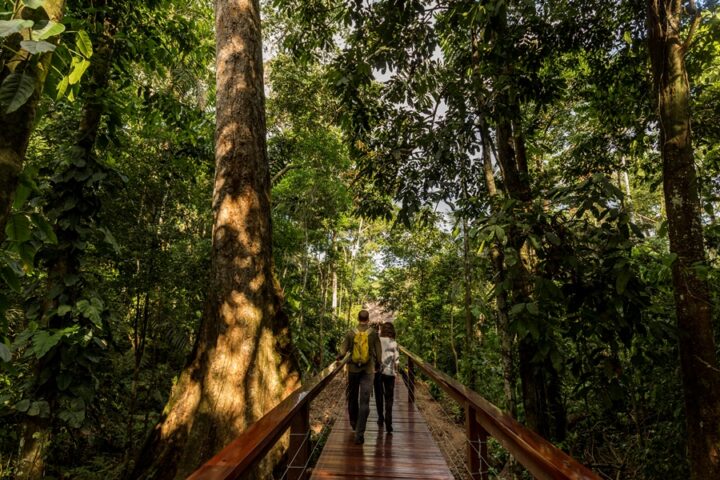 Sustainability In The Amazon, Aracari Travel