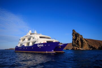 endemic catamaran