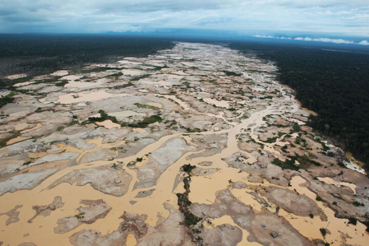 Sustainability In The Amazon, Aracari Travel