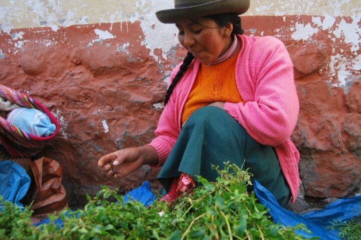 Avoiding Altitude Sickness in the Sacred Valley with Muna Tea, Aracari Travel