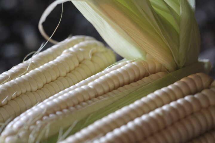 3 Top Peruvian Ingredients From Chefs Pia León And Virgilio Martínez, Aracari Travel