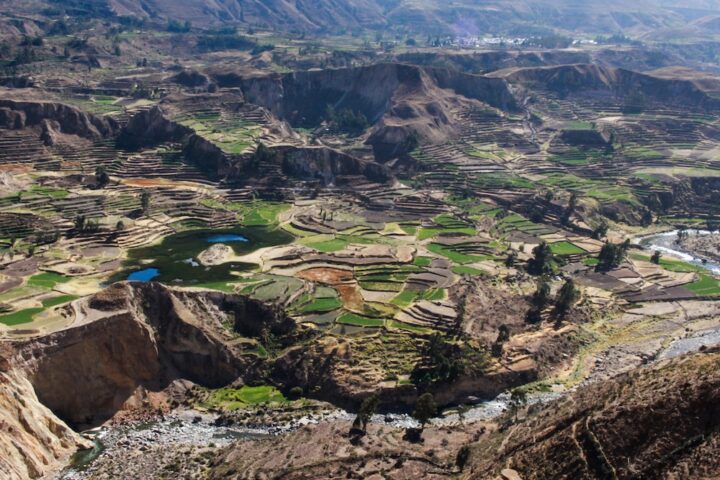 Your Guide To Things To Do In Arequipa And Colca Canyon, Aracari Travel