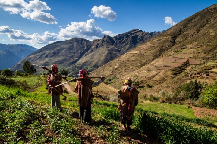 A Guide To Peruvian Potatoes, Aracari Travel