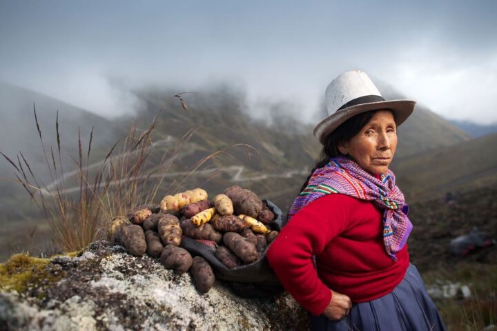 A Guide To Peruvian Potatoes, Aracari Travel