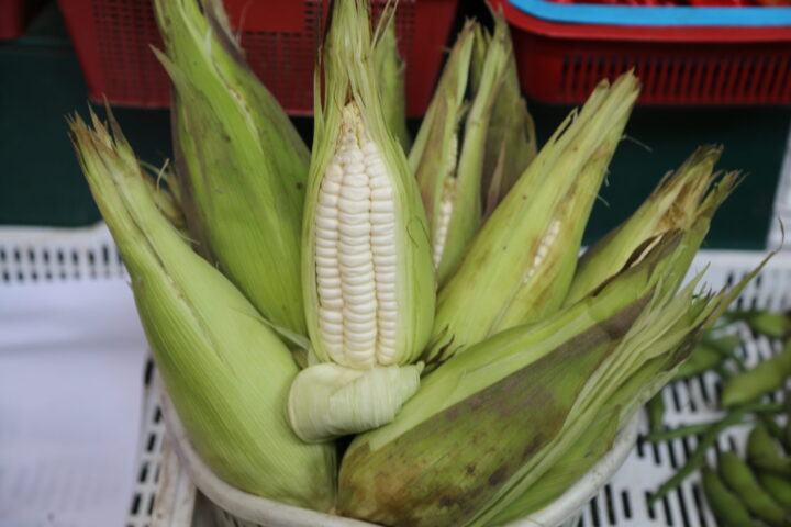 Aracari launches The Peru Food Guide, second edition., Aracari Travel