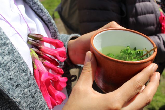 muña tea cusco