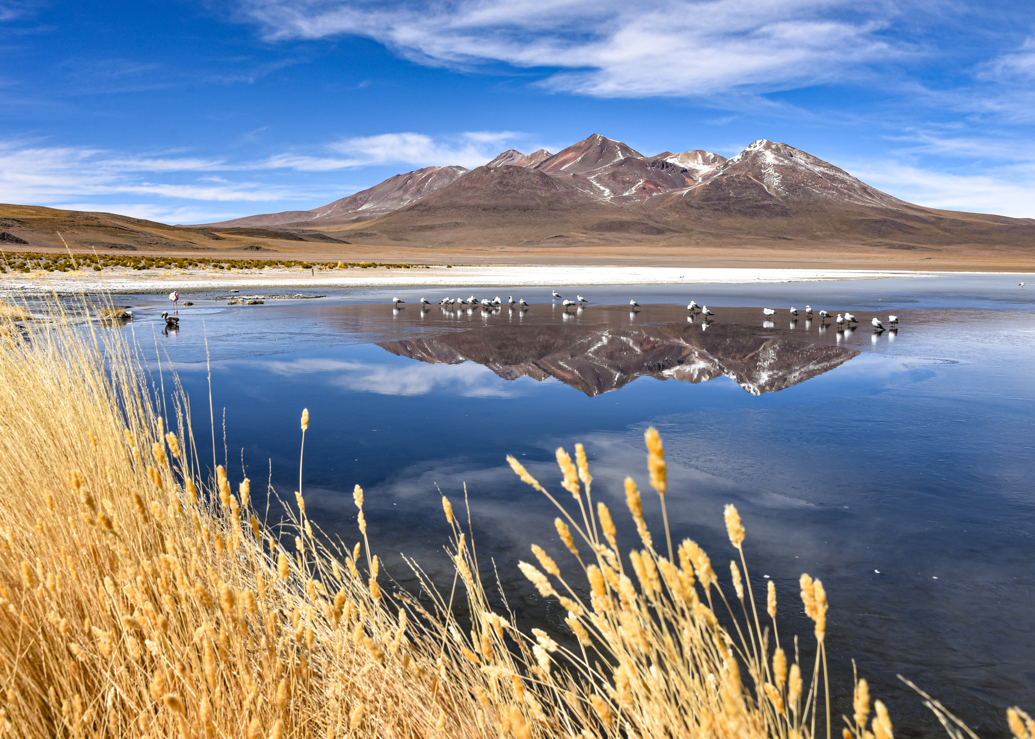 wilderness travel bolivia