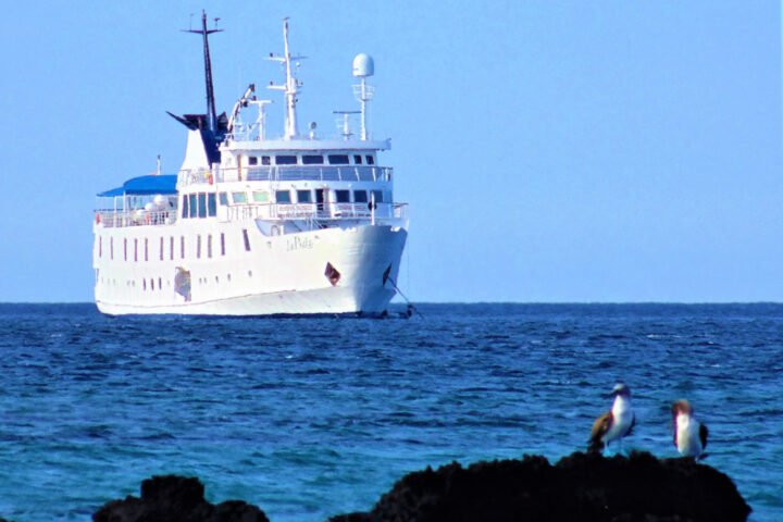 Marisol’s insider guide to booking a trip to the Galapagos Islands, Aracari Travel