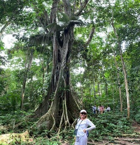 Luxury Travel in the Peruvian Amazon: an insider guide, Aracari Travel