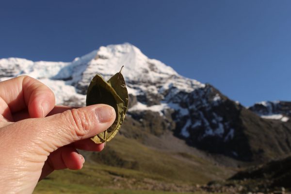 Preparing for a Trek in the Andes, Aracari Travel