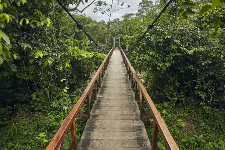 How to Plan a Trip to the Amazon: Our Expert Guide, Aracari Travel