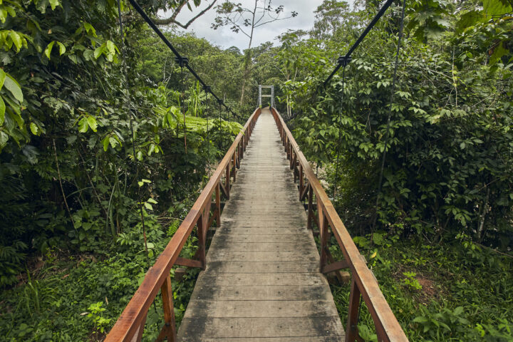 The Ultimate Guide to Peru’s Most Unique Experiences, Aracari Travel