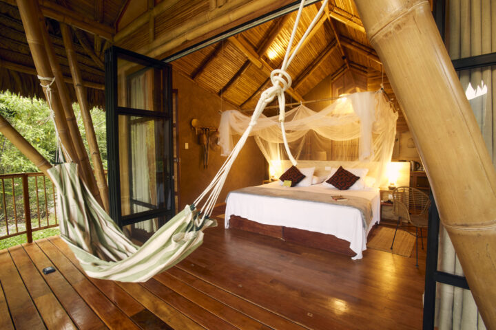 How to Plan a Trip to the Amazon: Our Expert Guide, Aracari Travel