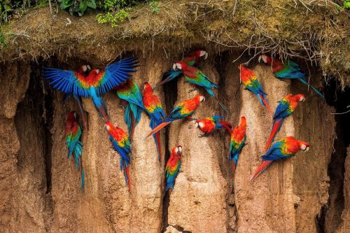 Finding Moments of Awe in South America, Aracari Travel
