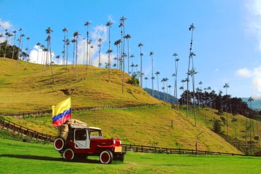 Cocora Valley