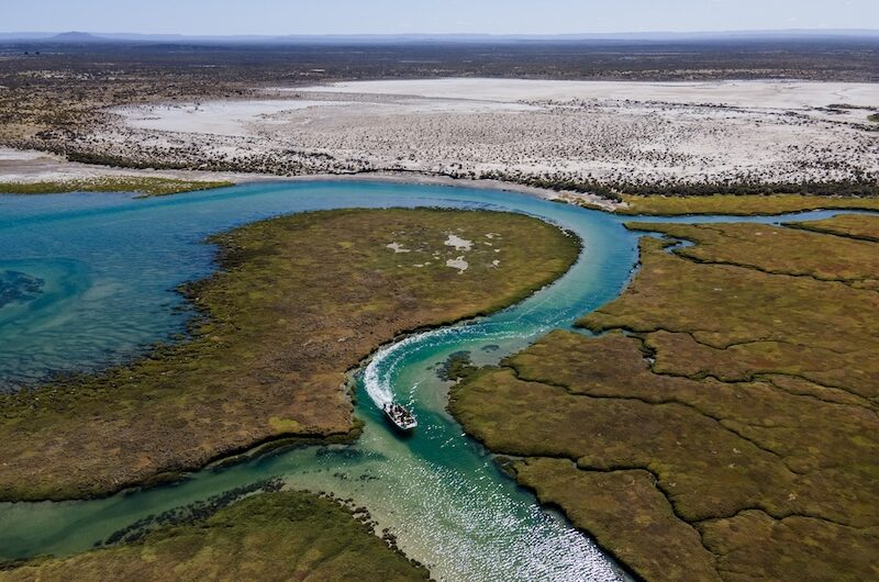 Bahia Bustamante