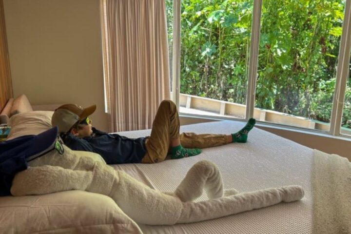How to Cruise the Amazon: Tailored Luxury for Every Kind of Traveler, Aracari Travel