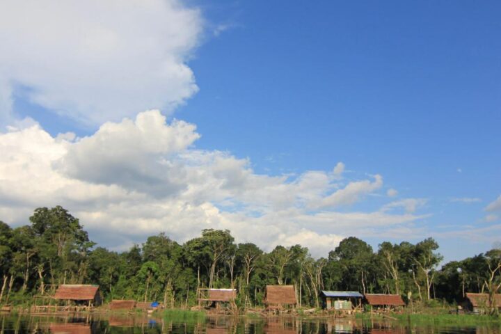 How to Cruise the Amazon: Tailored Luxury for Every Kind of Traveler, Aracari Travel