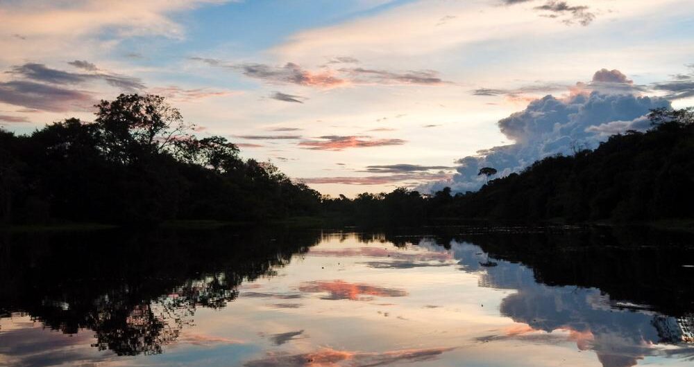 How to Cruise the Amazon: Tailored Luxury for Every Kind of Traveler, Aracari Travel