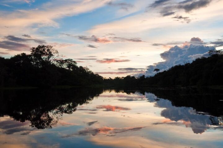 How to Cruise the Amazon: Tailored Luxury for Every Kind of Traveler, Aracari Travel