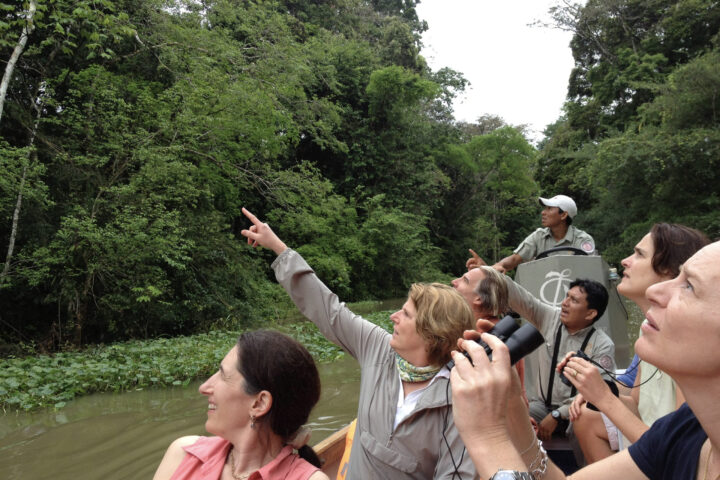 How to Cruise the Amazon: Unforgettable Luxury for Every Kind of Traveler, Aracari Travel