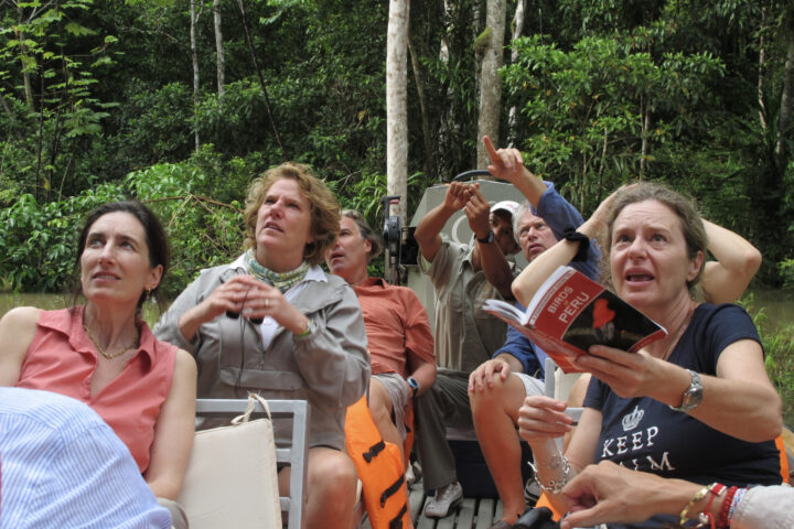 How to Cruise the Amazon: Unforgettable Luxury for Every Kind of Traveler, Aracari Travel