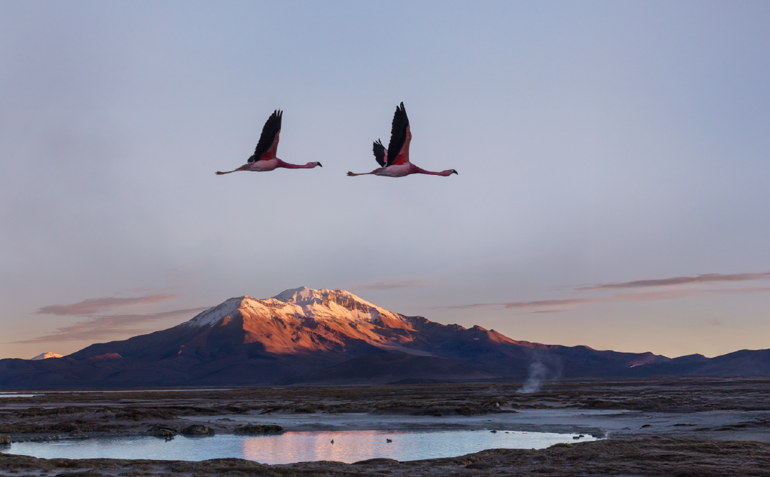 Your Luxury Travel Specialist For Peru And South America 10 start planning your trip