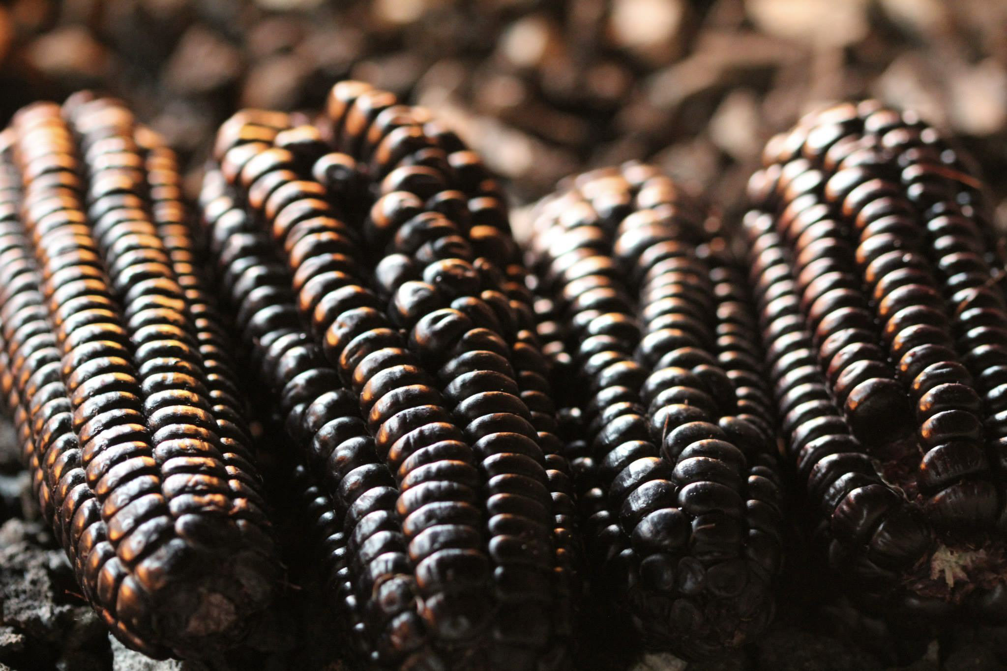 Travel To South America In June 1 10636548 852597168106594 5863672563562533317 o