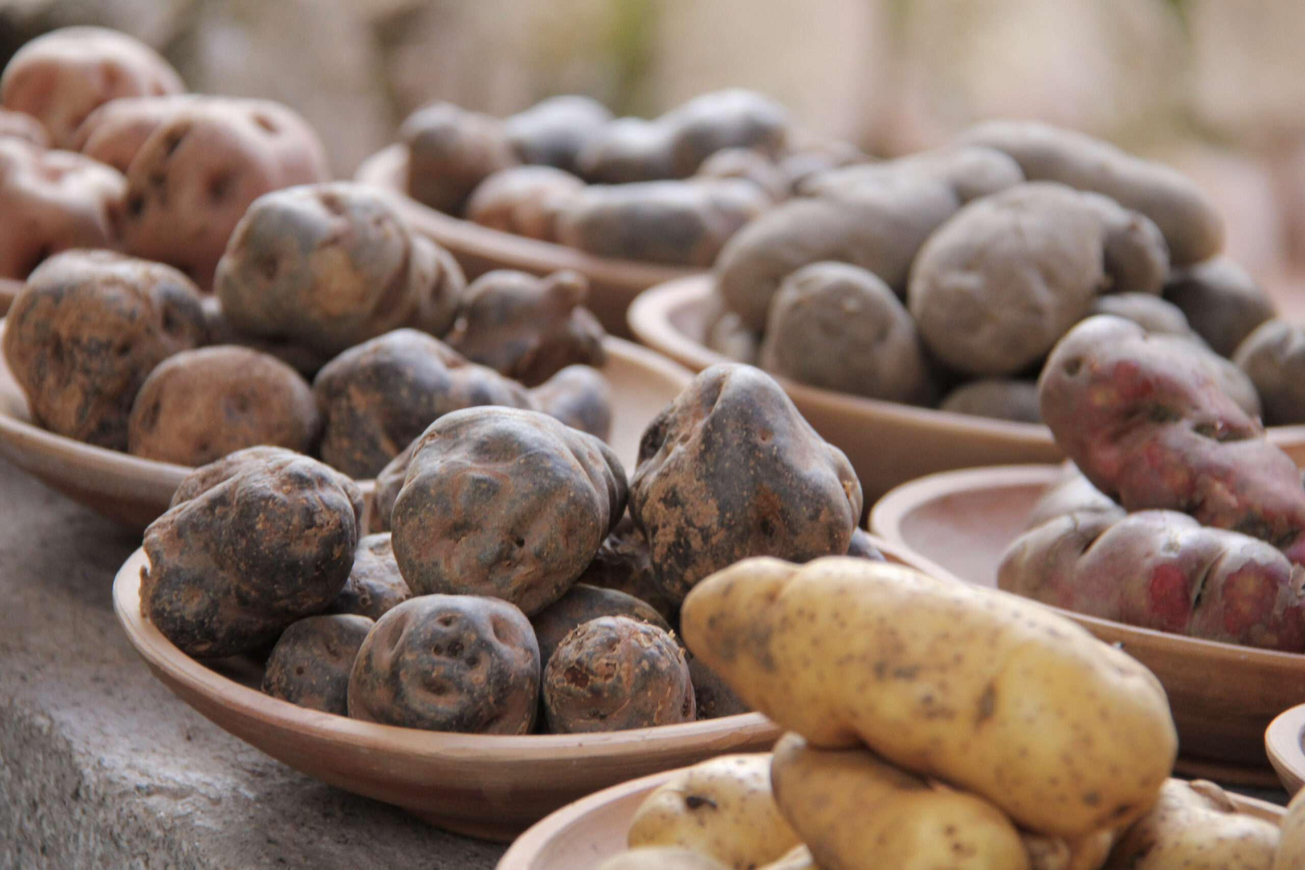 Travel To South America In March 1 2013 04 05 03 scaled